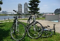IMG_1677-s.jpg