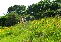 IMG_1688-s.jpg