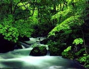 img147.jpg