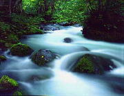 img148.jpg