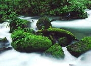 img151.jpg