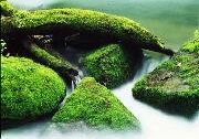 img153.jpg