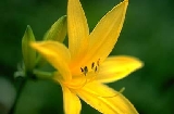 img165.jpg