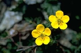 img173.jpg