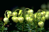 img193.jpg