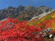 DSC00118s.jpg