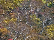 DSC00128s.jpg