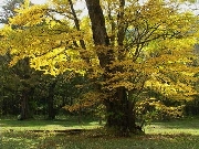 DSC00135s.jpg
