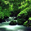 img147.jpg